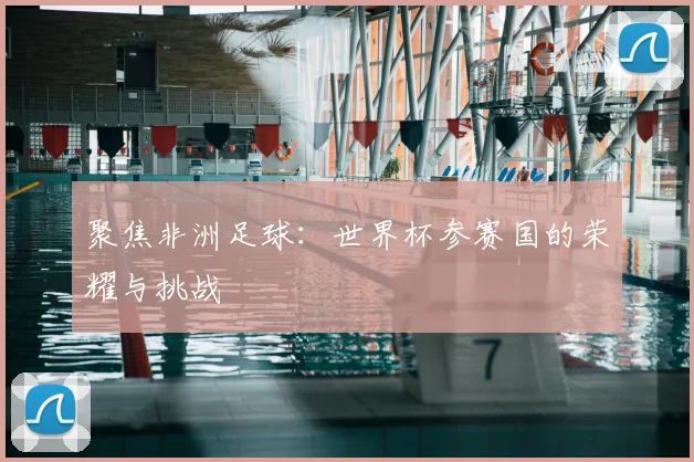 聚焦非洲足球：世界杯参赛国的荣耀与挑战